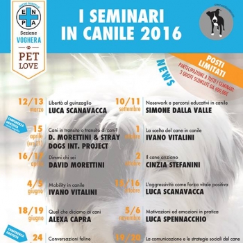 Immagine evento