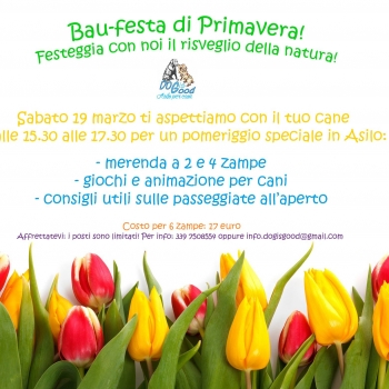 Immagine evento