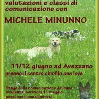 Immagine evento
