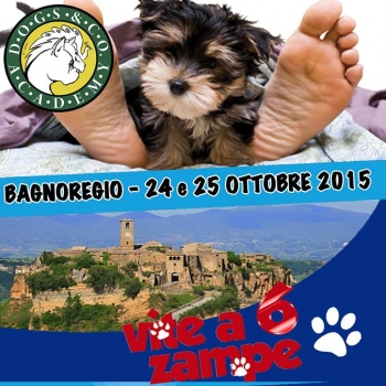 Immagine evento