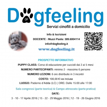 Immagine evento