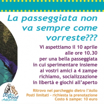 Immagine evento