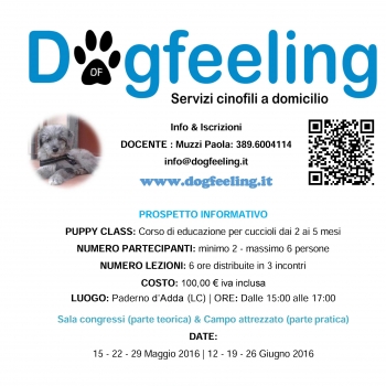 Immagine evento