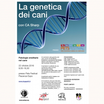 Immagine evento