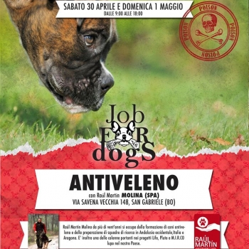 Immagine evento