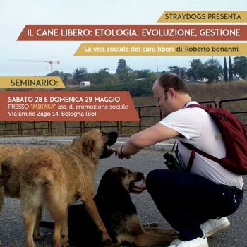 Immagine evento
