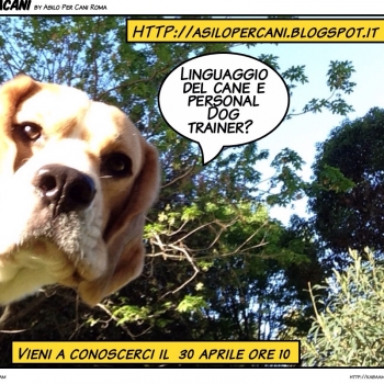Immagine evento