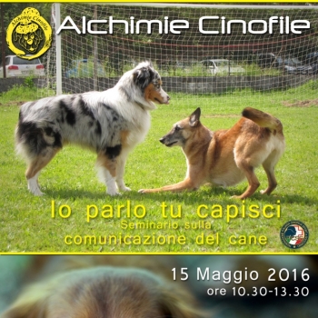 Immagine evento
