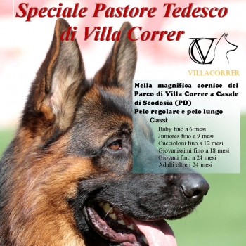 Immagine evento
