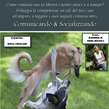Immagine evento