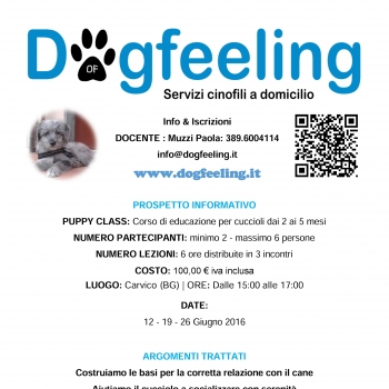 Immagine evento