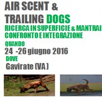 Immagine evento