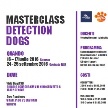 Immagine evento