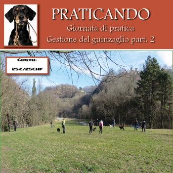 Immagine evento