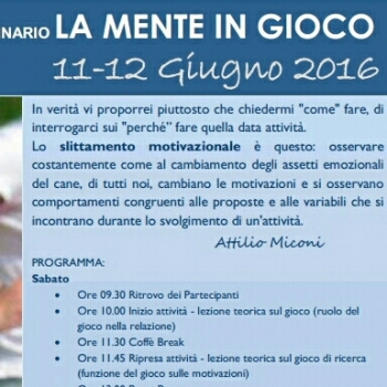 Immagine evento