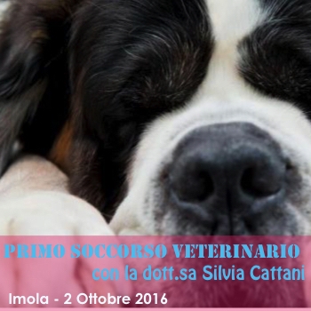 Immagine evento