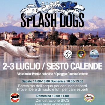 Immagine evento
