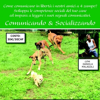 Immagine evento