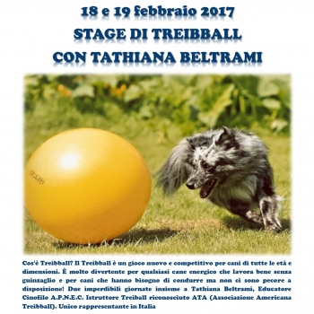 Immagine evento