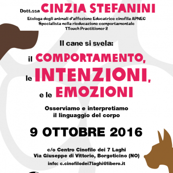 Immagine evento