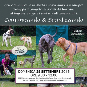 Immagine evento