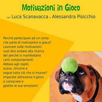 Immagine evento