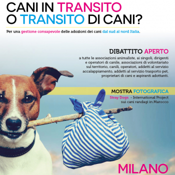 Immagine evento