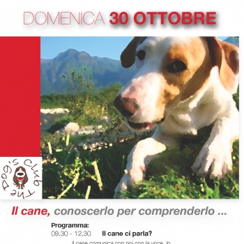 Immagine evento