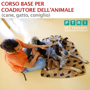 Immagine evento
