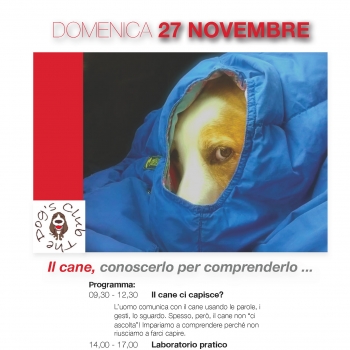 Immagine evento