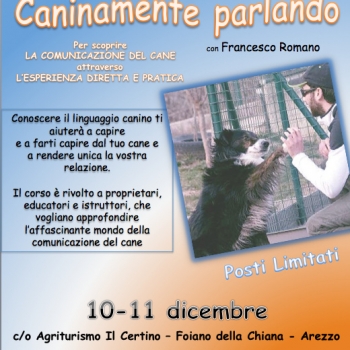 Immagine evento