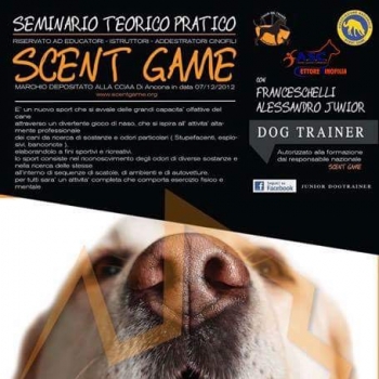 Immagine evento
