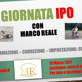 Immagine evento