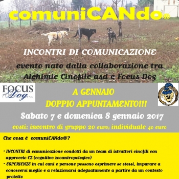 Immagine evento