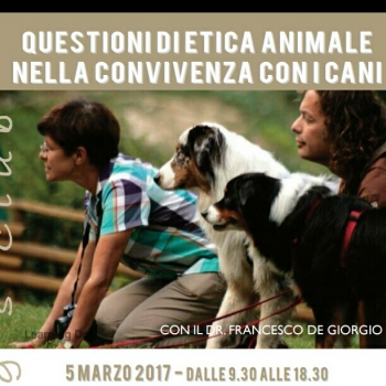 Immagine evento