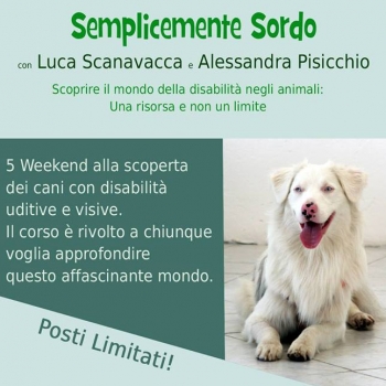 Immagine evento