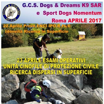 Immagine evento