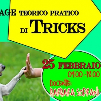 Immagine evento