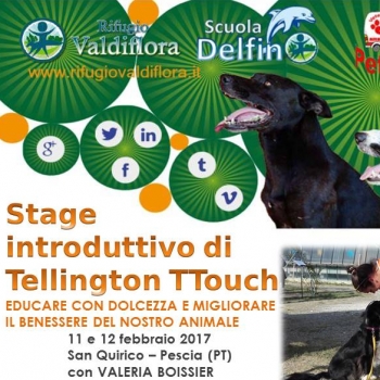 Immagine evento