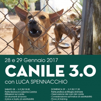 Immagine evento