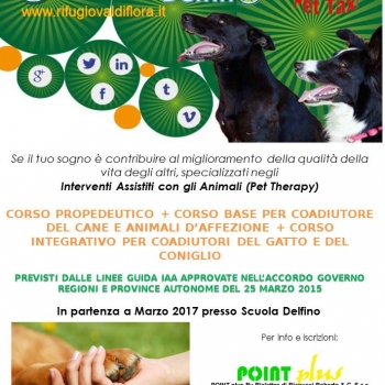 Immagine evento