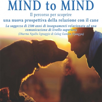 Immagine evento