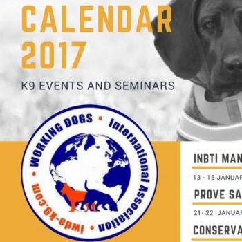 Immagine evento