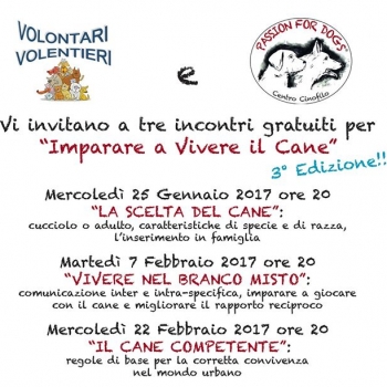 Immagine evento