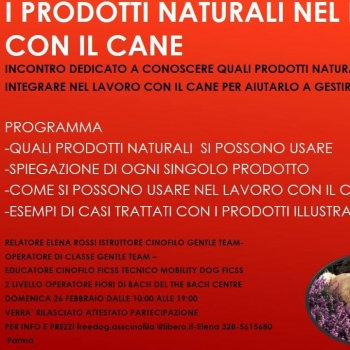 Immagine evento