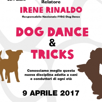 Immagine evento
