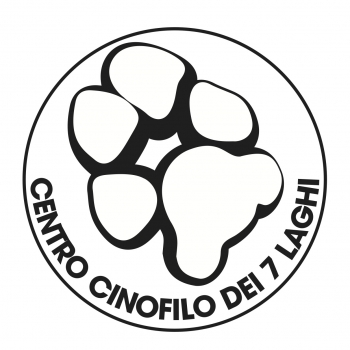Immagine evento