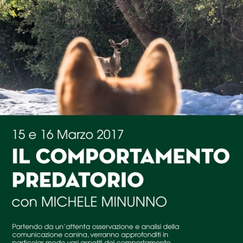 Immagine evento