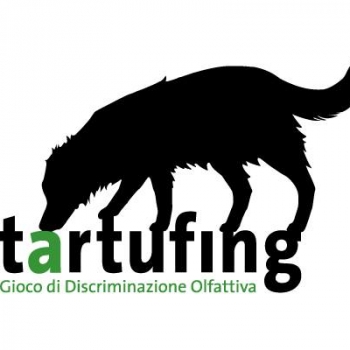 Immagine evento
