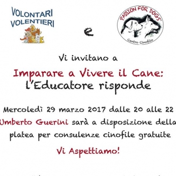 Immagine evento